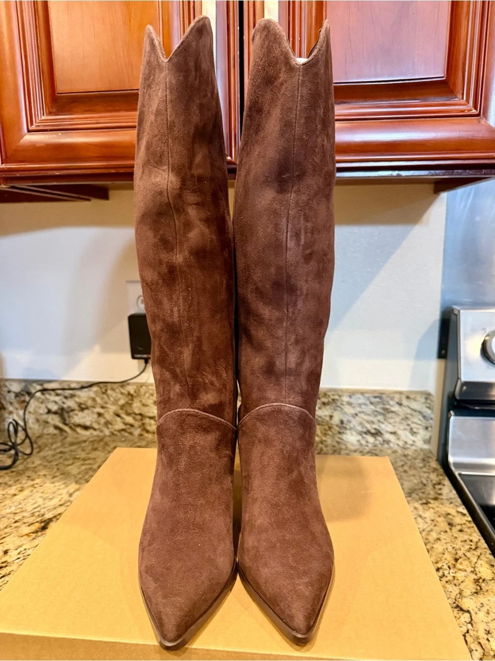 Steve Madden Tall Pointed-Toe Under The-Knee Suede Boots in Dark Brown